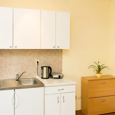 Radic - 2-3 Adults - Kneza Domagoja Street - Br 1 شقة