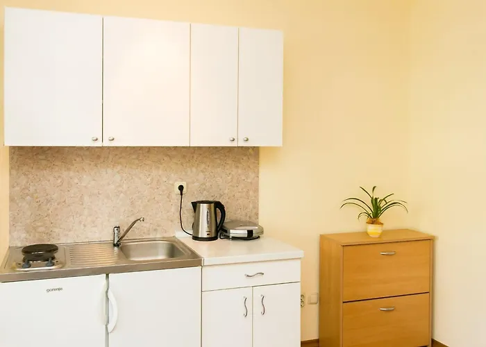 Radic - 2-3 Adults - Kneza Domagoja Street - Br 1 Апартаменты