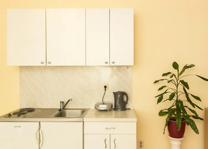 Radic - 2-3 Adults - Kneza Domagoja Street - Br 1
