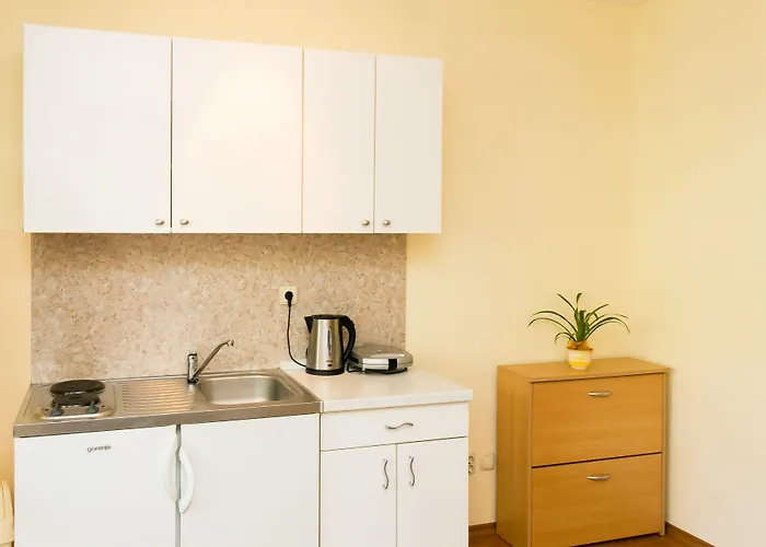 Radic - 2-3 Adults - Kneza Domagoja Street - Br 1 Апартаменты