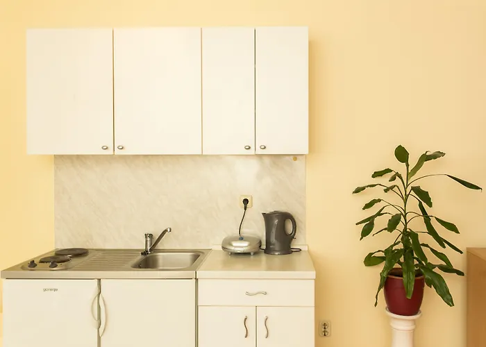 Апартаменты Radic - 2-3 Adults - Kneza Domagoja Street - Br 1 *
